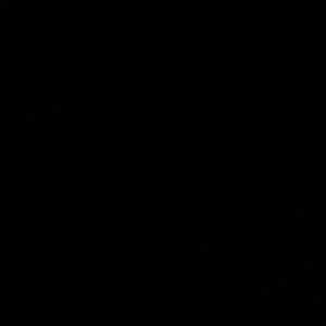 Meet your Posher, Dylan